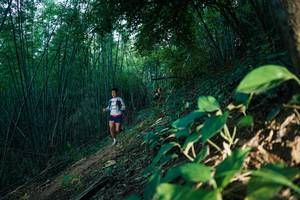 BIB: 
                            <button type="button" onclick="openModal(28124410)" class="btn btn-primary btn-sm float-right btn-popup" data-toggle="modal" data-target=".modal-high-quality">
                        <i class="fas fa-shopping-cart"></i> Add to Cart
                    </button>
                                            <button type="button" onclick="isThisMe(28124410, true)" class="btn btn-success btn-sm float-right btn-popup btn-isme hidden" data-toggle="tooltip" data-placement="bottom" title="นี่คือรูปของคุณใช่ไหม คลิกที่นี่เพื่อเอาเข้าอัลบั้ม">
                        <i class="fas fa-plus"></i> Add to album
                    </button>
                    <button type="button" onclick="isThisMe(28124410, false)" class="btn btn-warning btn-sm float-right btn-popup btn-isnotme hidden">
                        <i class="fas fa-ban"></i> Remove from album
                    </button>